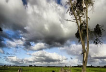 2月23日UFC：罗伯·丰特对阵巴西不败新星吉恩·松本，罗伯特吉尔