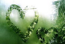 帕尔马遭遇失败，主帅连夜商讨调整计划