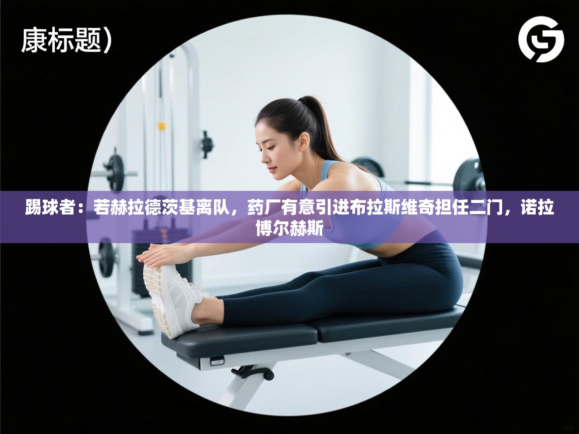 踢球者:若赫拉德茨基离队,药厂有意引进布拉斯维奇担任二门,诺拉博尔赫斯 第1张