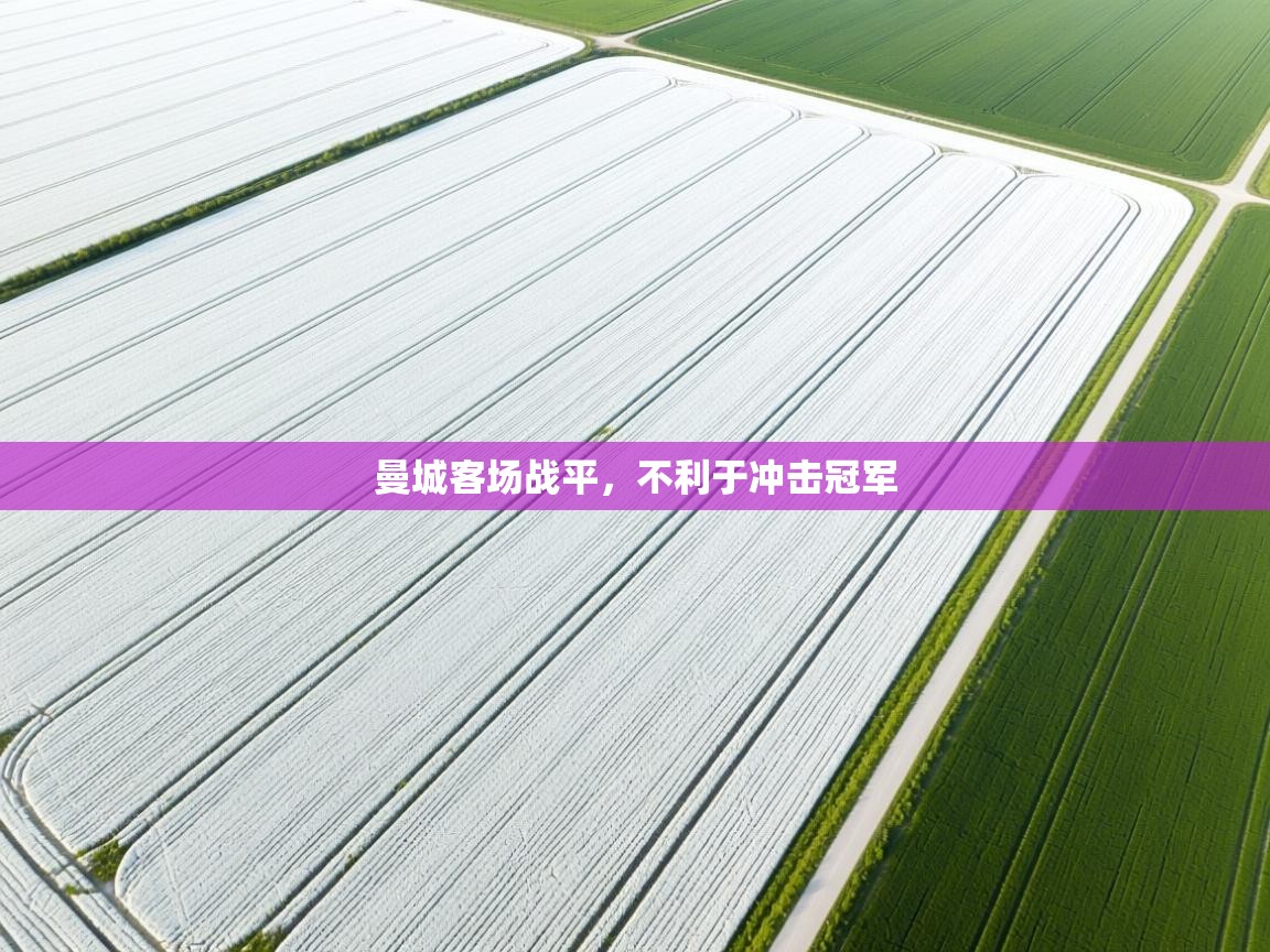 曼城客场战平，不利于冲击冠军