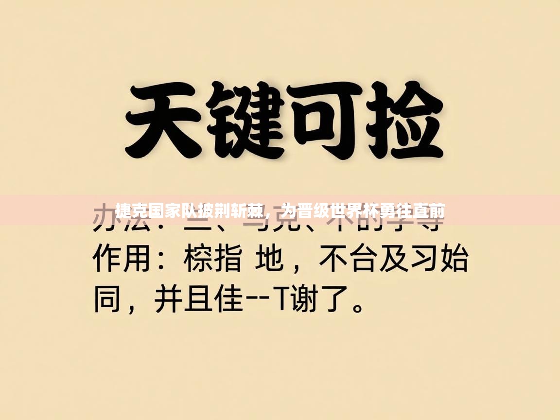 捷克国家队披荆斩棘,为晋级世界杯勇往直前 第2张